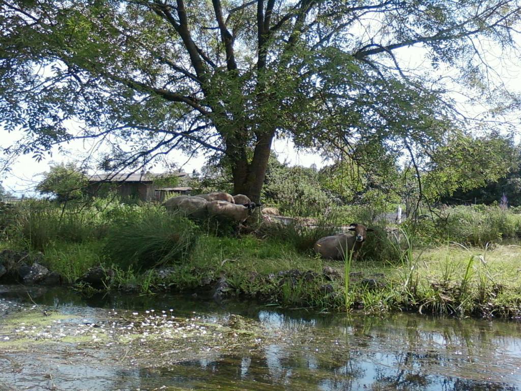 Ferienwohnung Am Buchenbaum Neuried  Zewnętrze zdjęcie